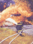 fire#6.gif (4309 bytes)
